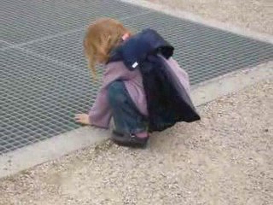 ramassage et transport de cailloux