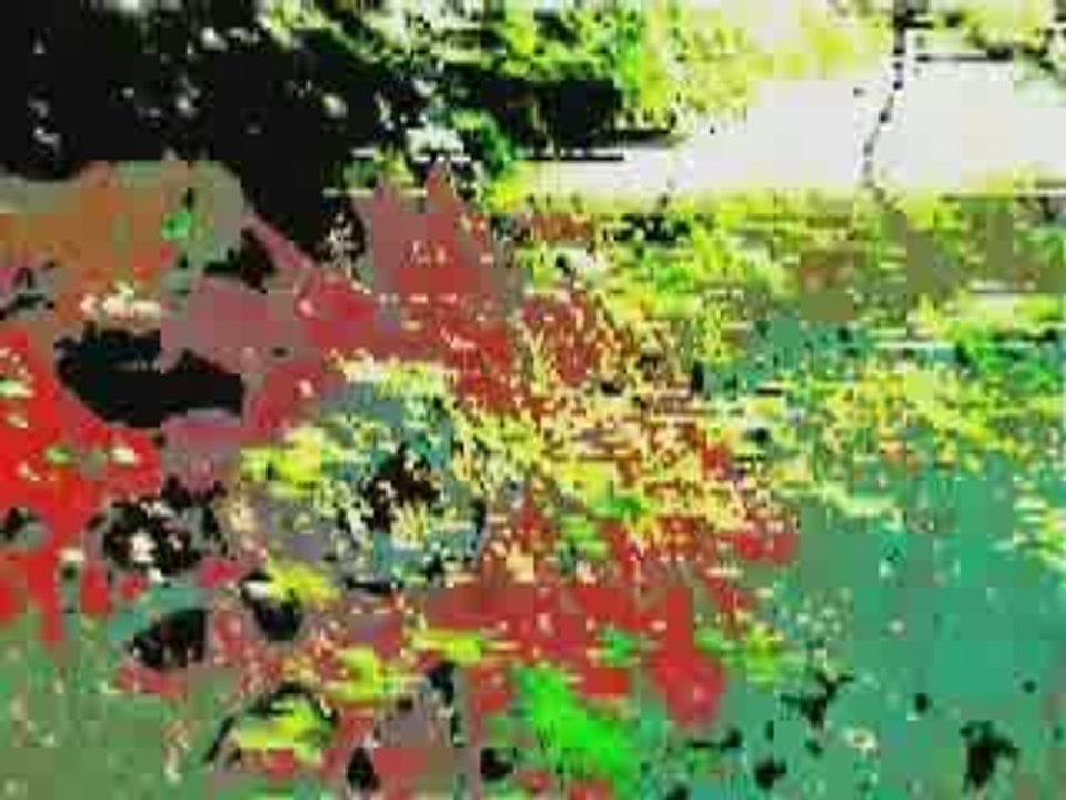 Datbamboum