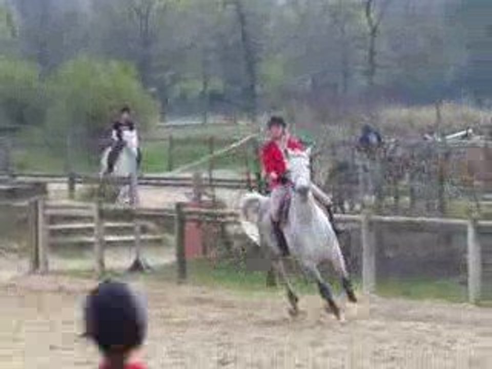 Daphné et onyx saut 2