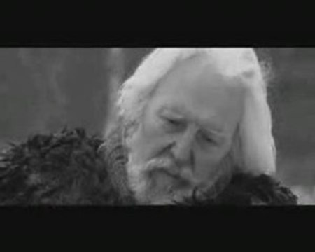 Ариэль - Лебедь белая