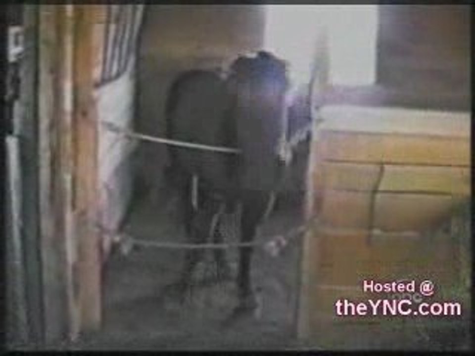 Sometimesyouhavetodance