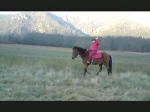 Moi je taime et sa nchangera pas