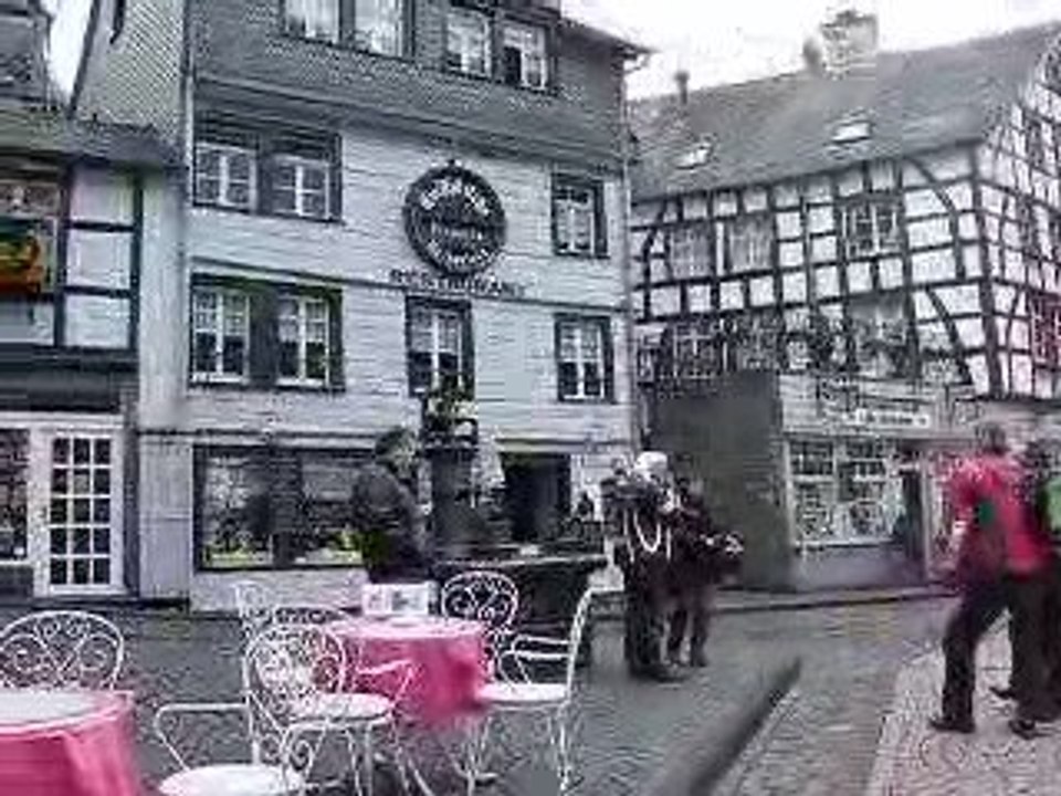DSCN6710