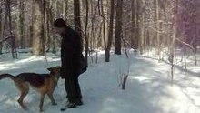 дерёмся