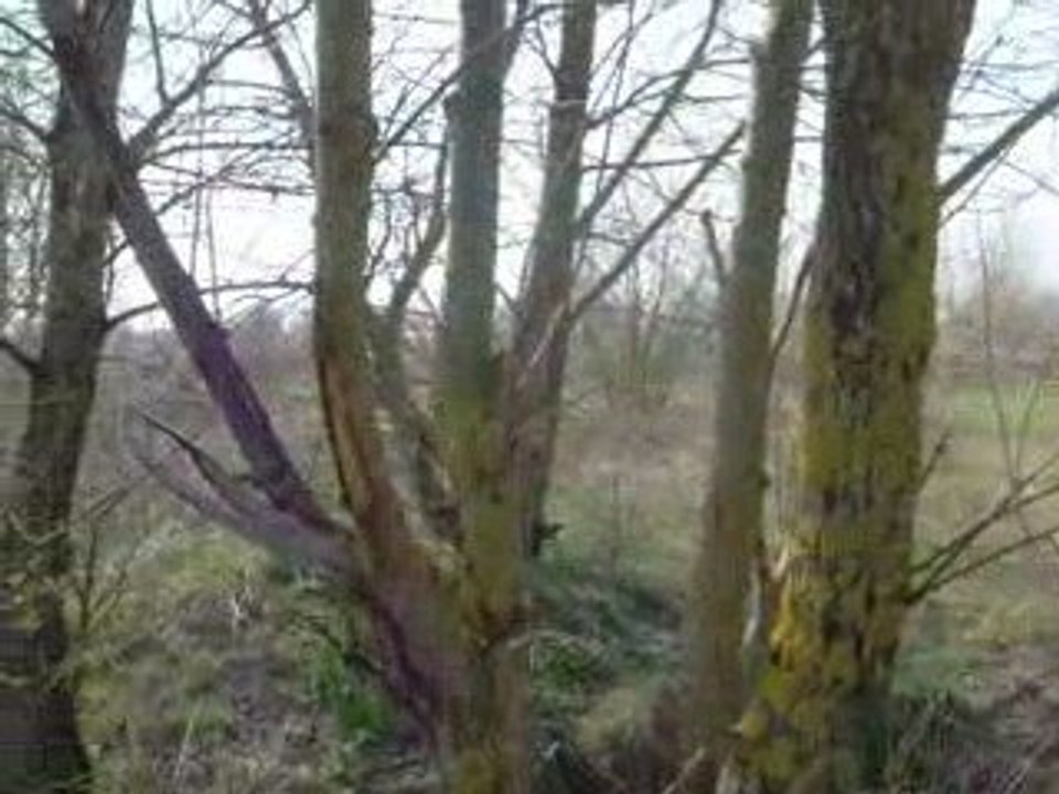 session cross grenay