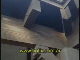 www.botix.com.ar Aves anidan en galeria de madera