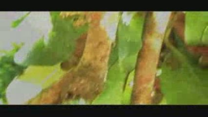 Une minute pour l'environnement 16.9