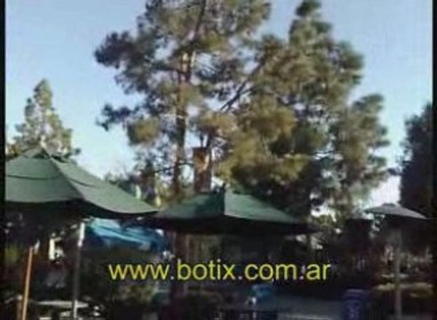 botix.com.ar ahuyentar palomas de viga madera