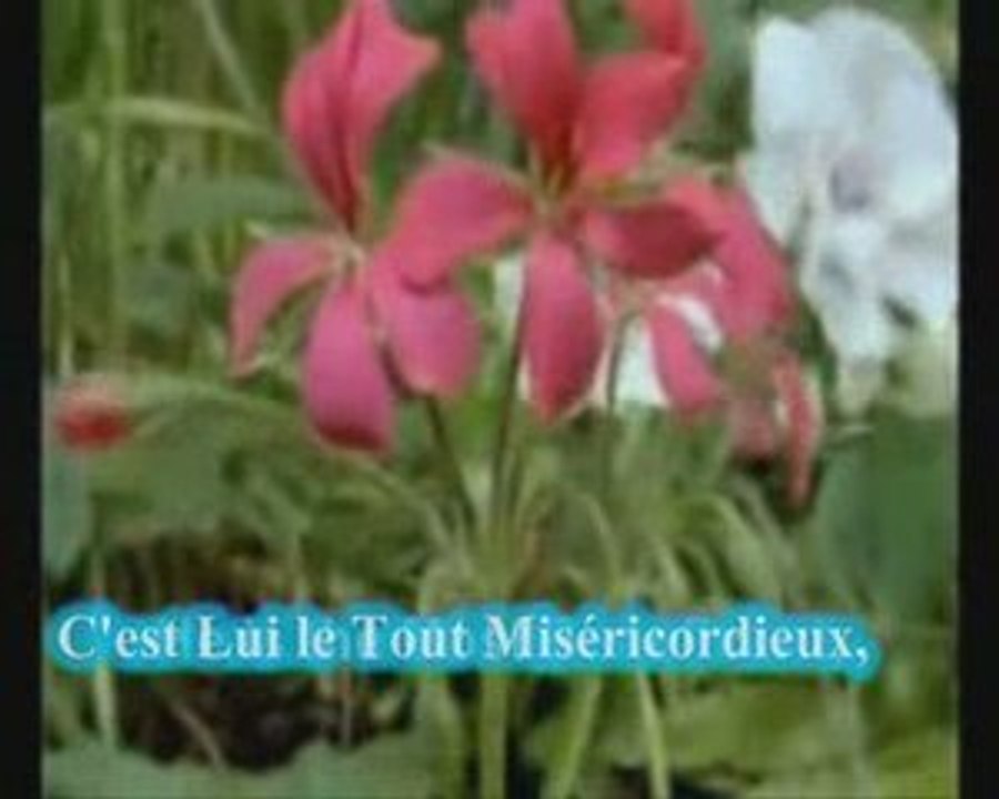 QURAN Cheikh Yasser al  Dousary ياسر الدوسري