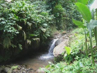 PERSONNE NE PEUT T'AIMER