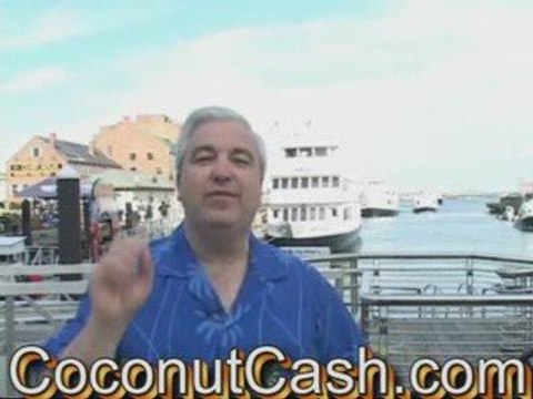 Zurvita- Leveraged Income Business