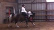 Galop a cru en licol