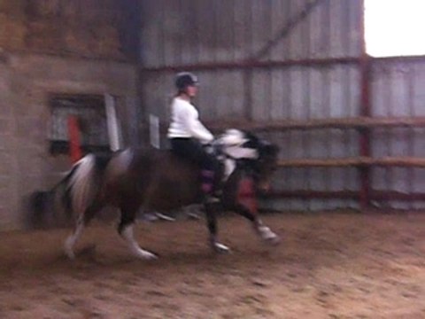 Galop a cru en licol