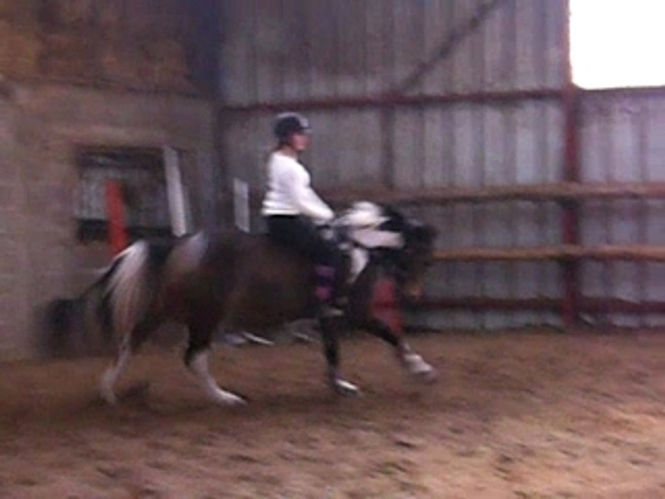 Galop a cru en licol