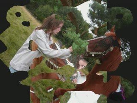 Les cow-girls sur la terre des volcans d'auvergne