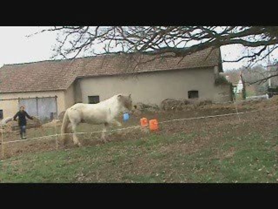 3e séance géronimo 1