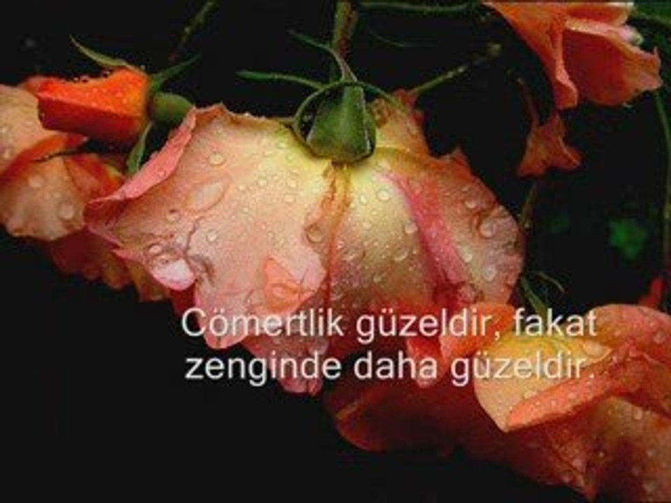 6-sey-dareyndergisi.com