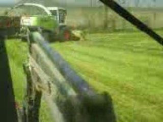 ensilage d'herbe 2009