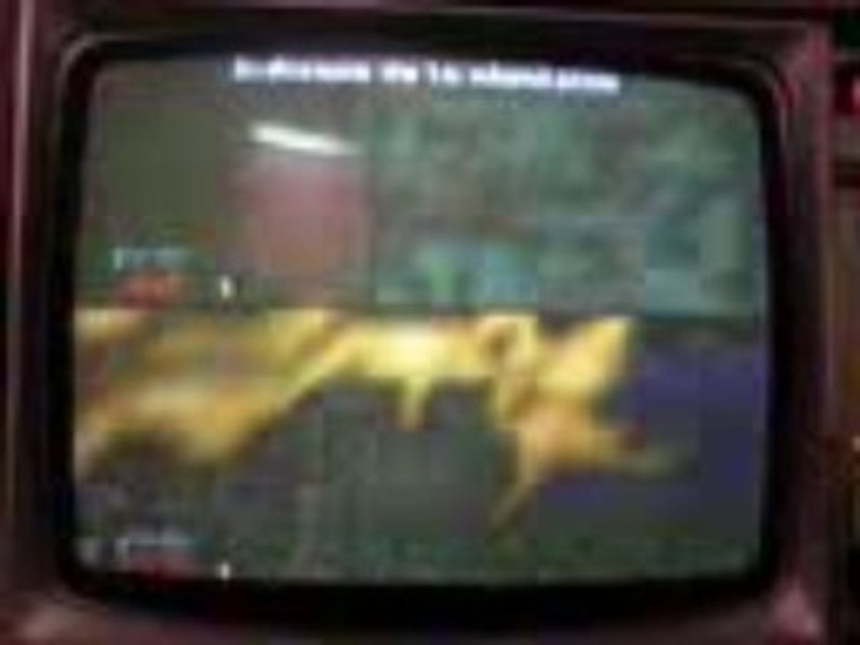 Les frères lagaule (zeromus21 et metroidcrado) sur HEXEN 64