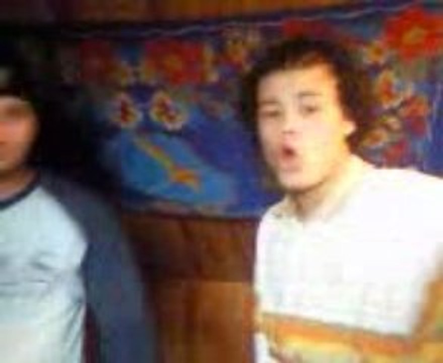 kreol masta tropical lion