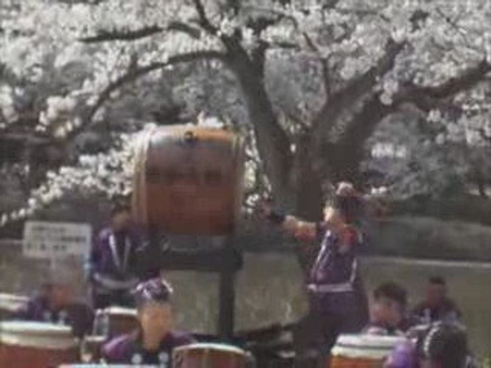 花見2009