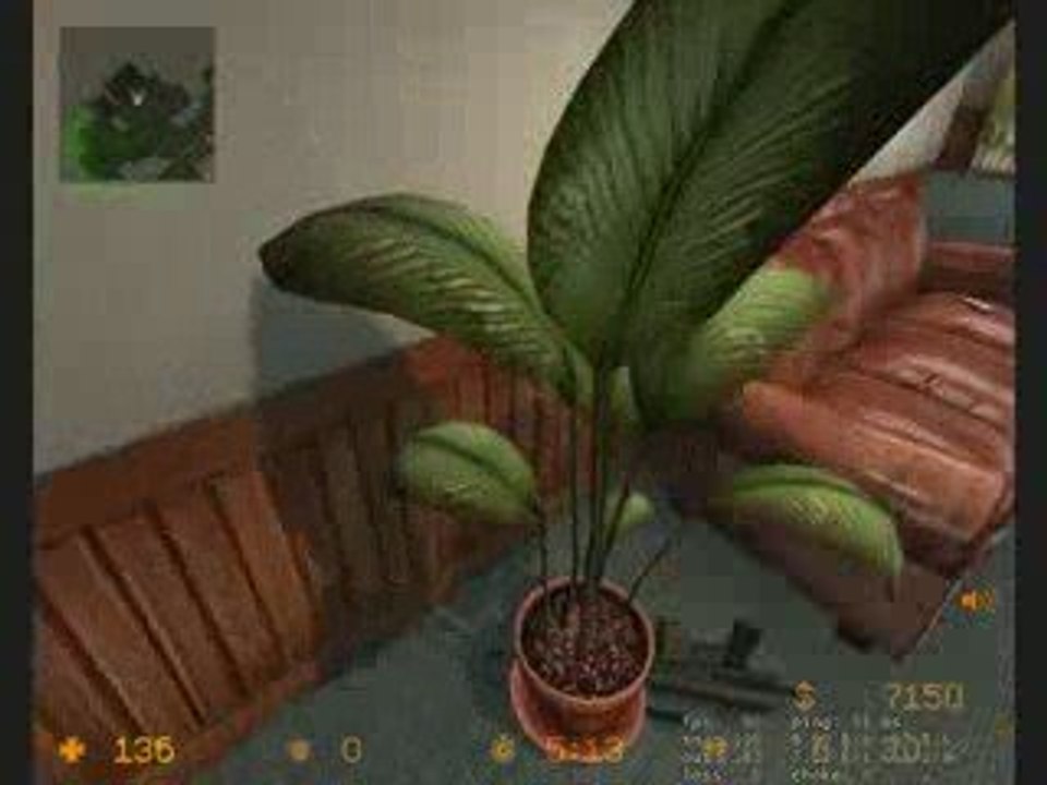 ZgF sale prof fun css