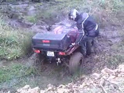 quad 3 grizzly qui patogent