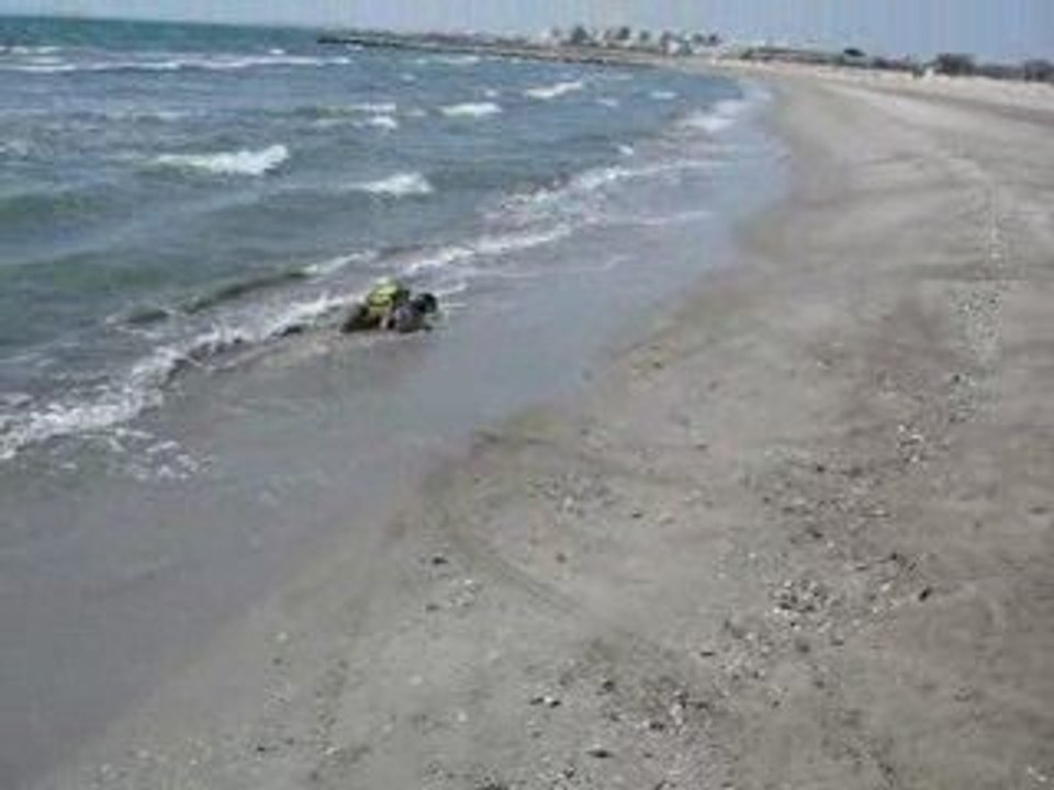 traxxas Summit a la playa