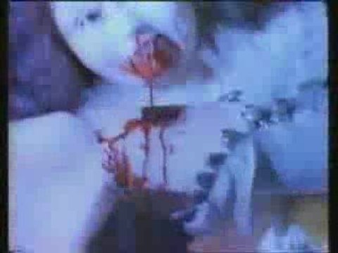 LES POUPEES-BARBIES PETENT UN CABLE !