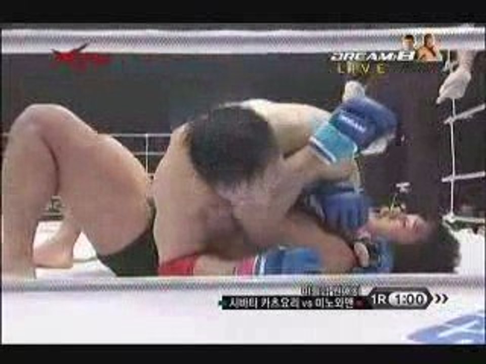 MinowaShibata d8