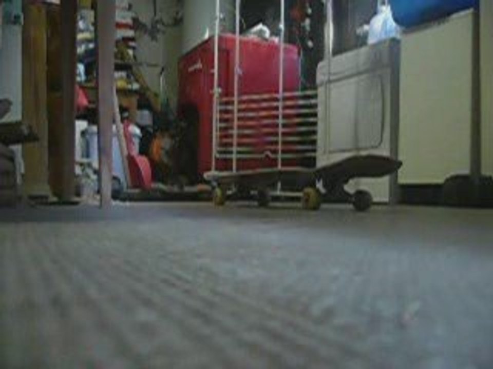Part Skate Victor
