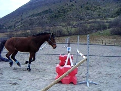 oceane saut en liberté