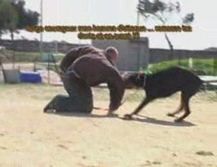 Baron Bryan des sentiers battus, entrainement ring 05 04 09