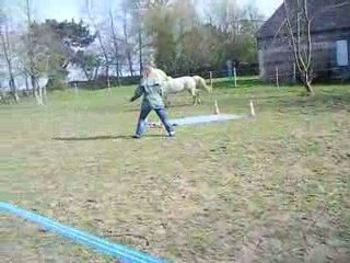 Mario jeux du cercle le 04/04/09