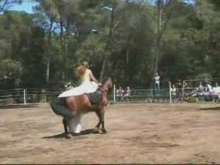 Les Belles de Mai font leur cinéma