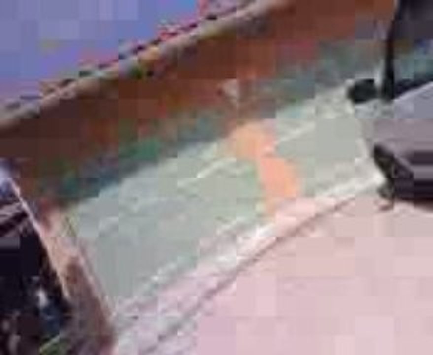 103 sp pot kenji dust .