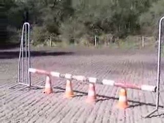 Ligne Brisée : Définition et Applications