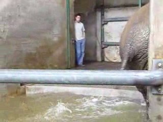 C' est l heure du bain !!!