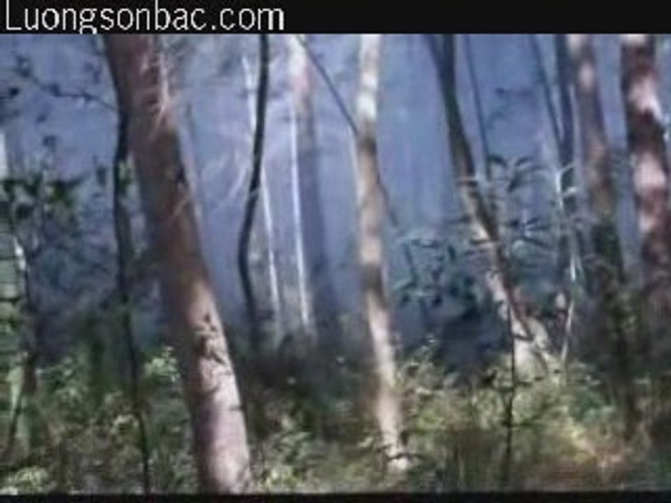 Phi_thien_vu-0_chunk_6