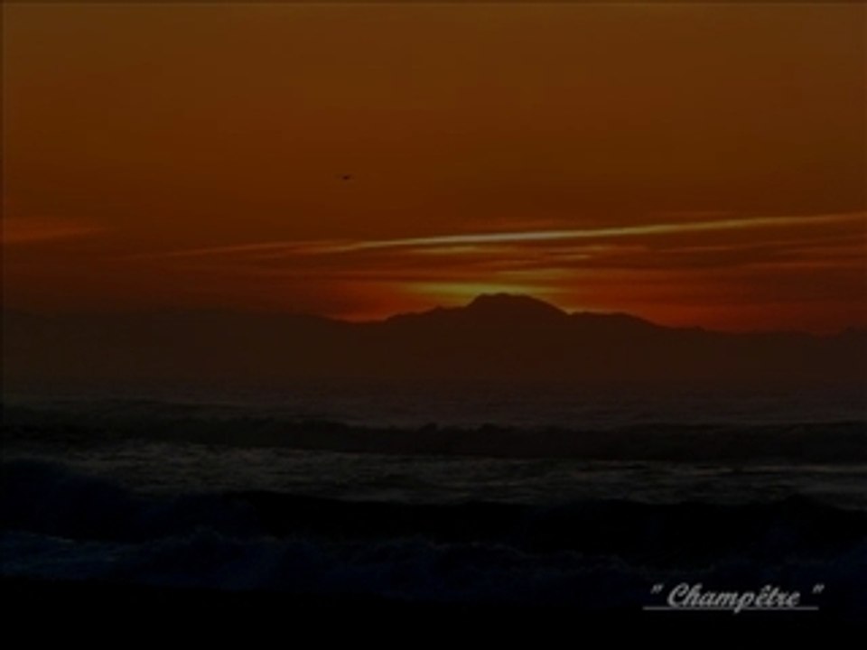 Anglet, plage des Sables d' Or Janvier 2009