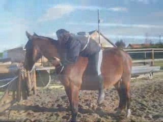 Cadence Janvier - Fevrier. Photos VRAC :)