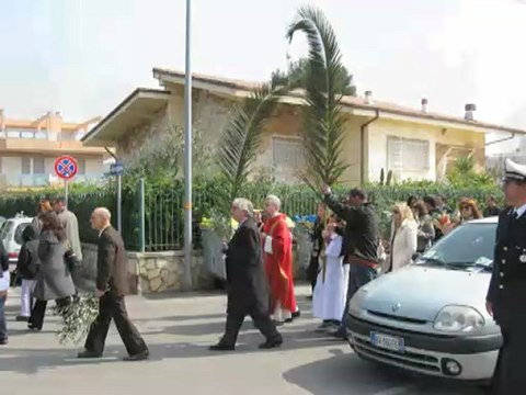 Palme Stella Maris