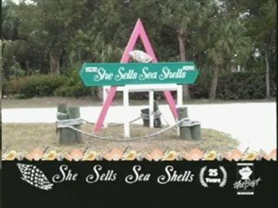 She Sells Sea Shells
