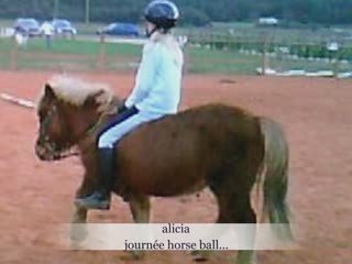 mes chevaux =)