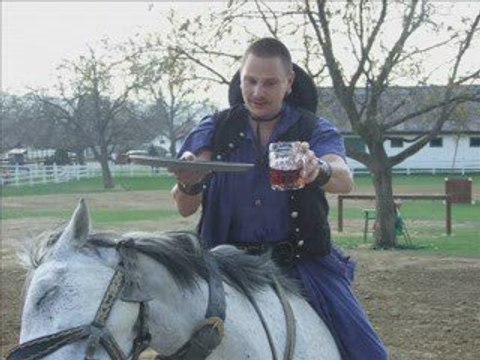 Lago Balaton Siofok Spettacolo con Cavalli