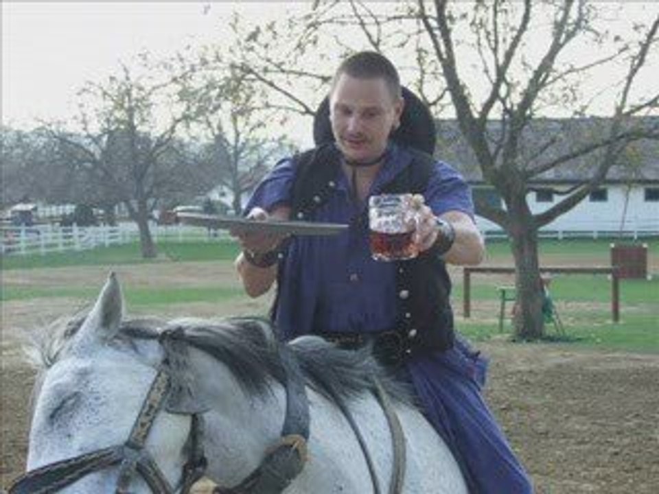 Lago Balaton Siofok Spettacolo con Cavalli