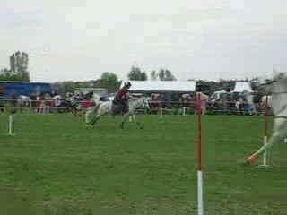 Cartons peter dale tignieu stand by