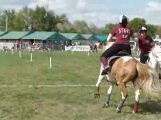 Slalom peter dale tignieu stand by