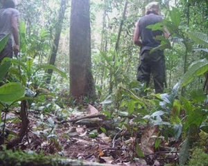 expédition 3 jours forêt vers petit-saut