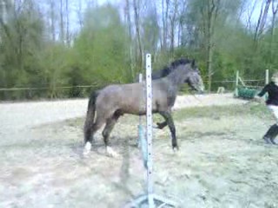 Sisco saut a pied